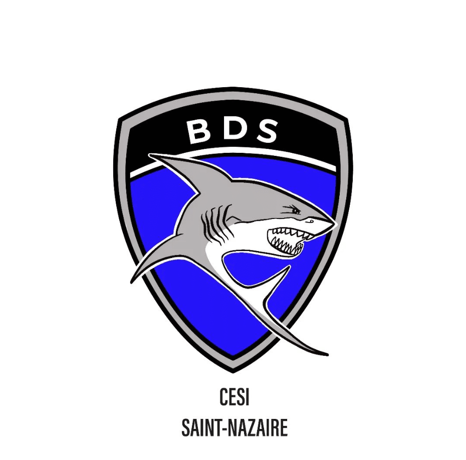 logo du BDS